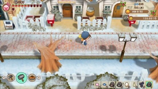 Story of Seasons: Friends of Mineral Town screenshot 11