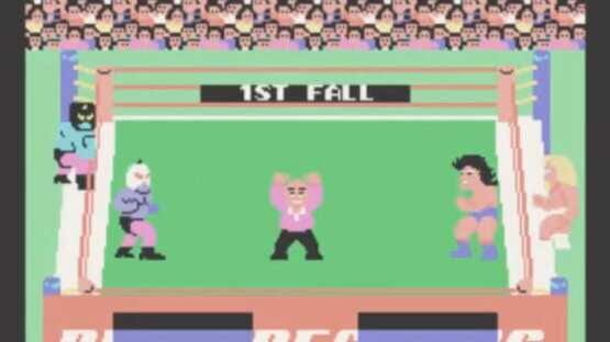 Champion Pro Wrestling screenshot 2
