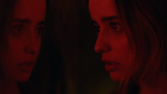 Erica screenshot 7