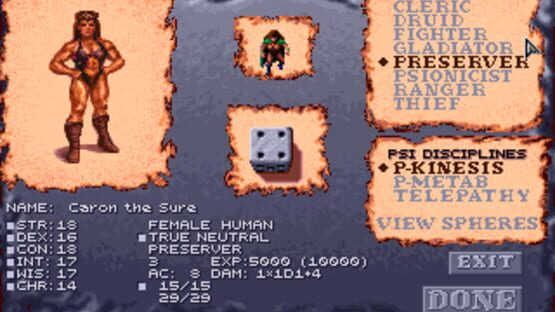 Dark Sun: Shattered Lands screenshot 3