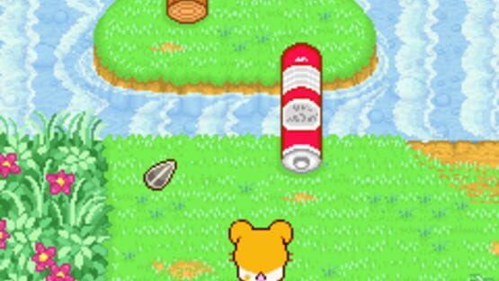 Hamtaro: Ham-Ham Heartbreak screenshot 2