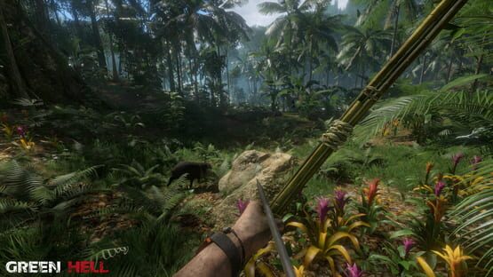 Green Hell screenshot 6