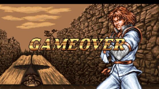 Double Dragon screenshot 6