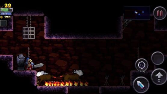 Rogue Legacy: Wanderer Edition screenshot 9