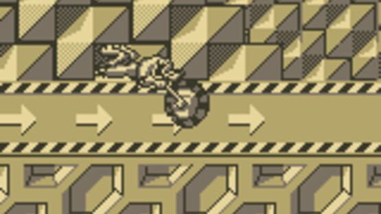 Battletoads in Ragnarok's World screenshot 6