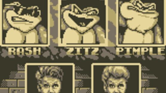 Battletoads / Double Dragon screenshot 1