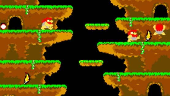 Roc 'N Rope screenshot 2