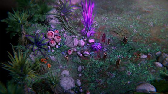 Pathfinder: Kingmaker - Royal Ascension screenshot 11