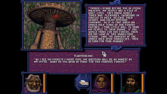 Menzoberranzan screenshot 3