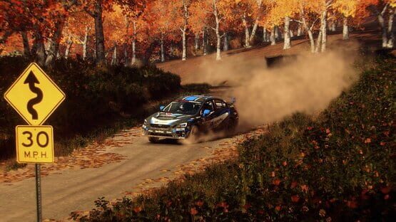 DiRT Rally 2.0: Super Deluxe Edition screenshot 2