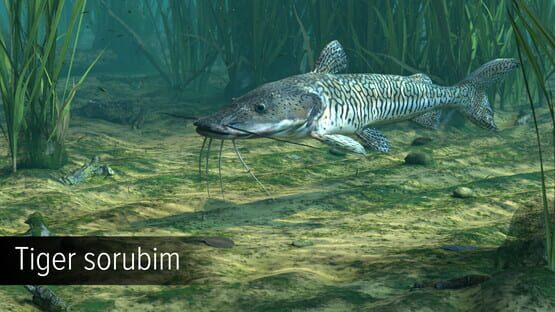 Ultimate Fishing Simulator: Amazon River DLC screenshot 11