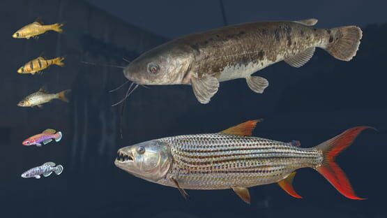 Ultimate Fishing Simulator: Kariba Dam DLC screenshot 5