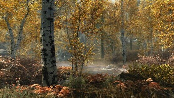 Skyrim Special Edition + Fallout 4 G.O.T.Y Bundle screenshot 9