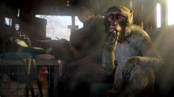 Far Cry 4 + Far Cry: Primal Bundle screenshot 3