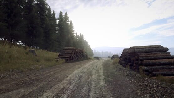 DiRT Rally 2.0: Wales (Rally Location) screenshot 4