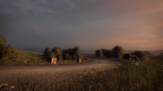 DiRT Rally 2.0: Germany (Rally Location) screenshot 3