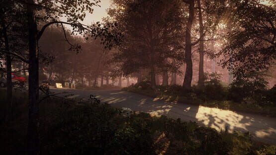 DiRT Rally 2.0: Germany (Rally Location) screenshot 7