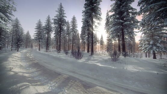DiRT Rally 2.0: Sweden (Rally Location) screenshot 5