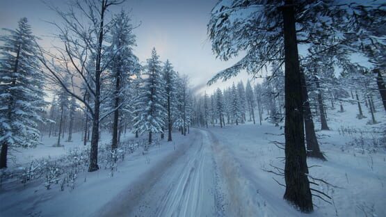 DiRT Rally 2.0: Sweden (Rally Location) screenshot 7