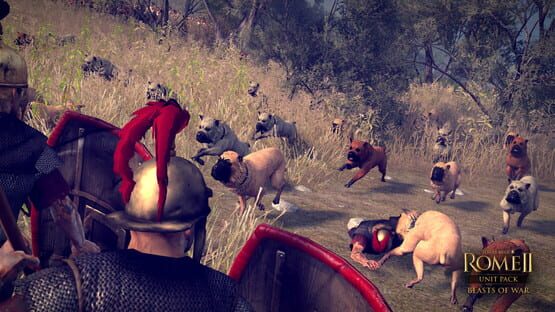 Total War: Rome II - Unit Pack: Beasts of War screenshot 6