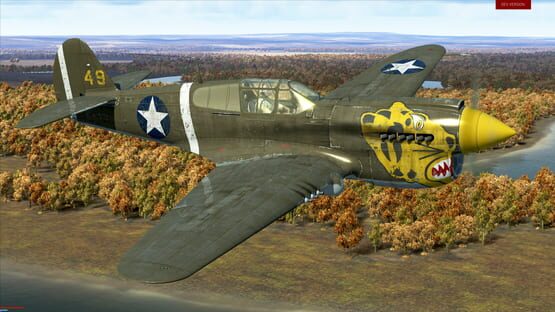 IL-2 Sturmovik: Battle of Stalingrad - P-40E-1 Collector Plane screenshot 11