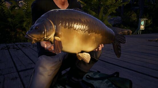 Euro Fishing: Waldsee screenshot 2