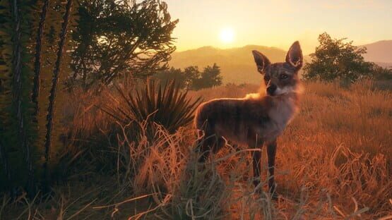 TheHunter Call of the Wild: 2022 Edition screenshot 5