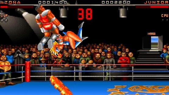 Ultimate Body Blows screenshot 3