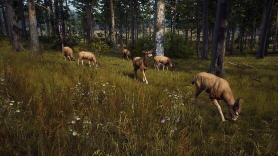 Way of the Hunter screenshot 4