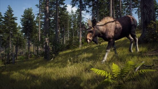 Way of the Hunter screenshot 6