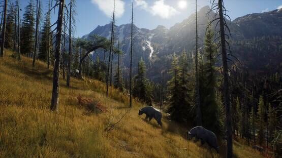 Way of the Hunter screenshot 11