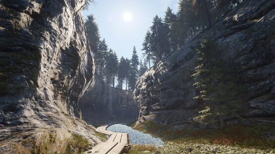 TheHunter: Call of the Wild - Revontuli Coast screenshot 10