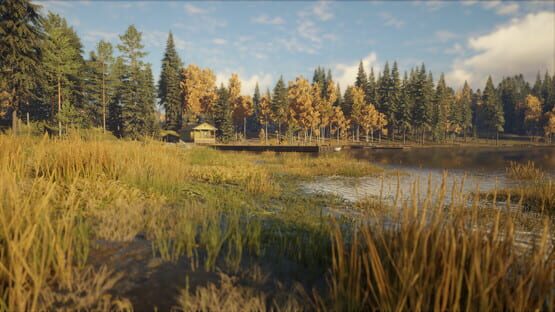 TheHunter: Call of the Wild - Revontuli Coast screenshot 12