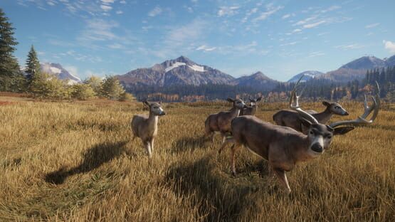 TheHunter: Call of the Wild - Facing the Wild 1 screenshot 6