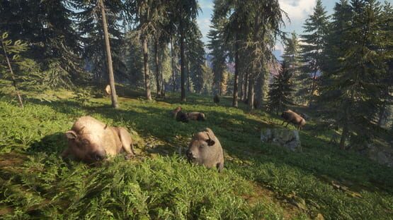 TheHunter: Call of the Wild - Facing the Wild 1 screenshot 7