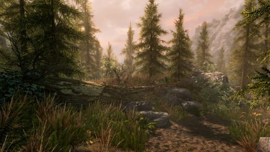 The Elder Scrolls V: Skyrim - Anniversary Edition screenshot 17
