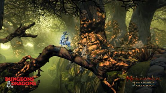 Neverwinter: The Cloaked Ascendancy screenshot 2
