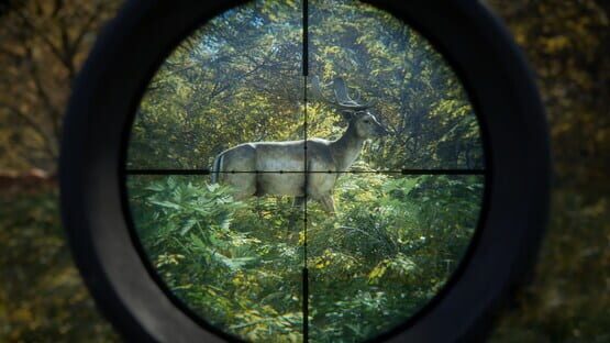 TheHunter: Call of the Wild - Seasoned Hunter Bundle screenshot 5