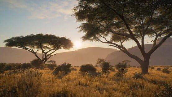 TheHunter: Call of the Wild - Seasoned Hunter Bundle screenshot 3