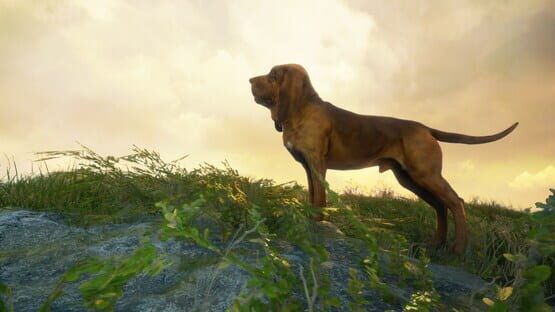 TheHunter: Call of the Wild - Master Hunter Bundle screenshot 2