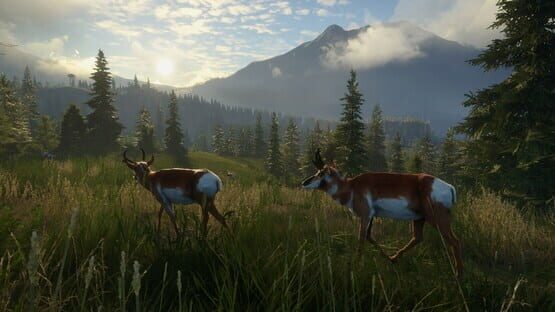 TheHunter: Call of the Wild - Master Hunter Bundle screenshot 5