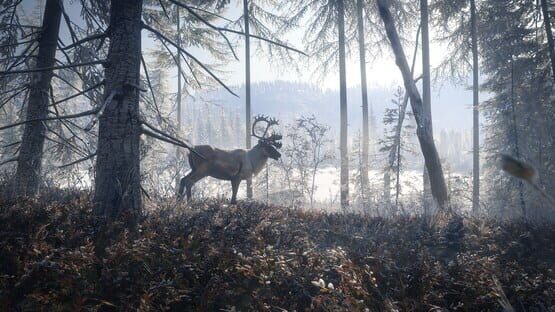 TheHunter: Call of the Wild - Master Hunter Bundle screenshot 7