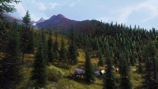 Way of the Hunter: Aurora Shores screenshot 6