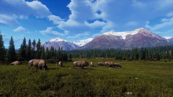 Way of the Hunter: Aurora Shores screenshot 8