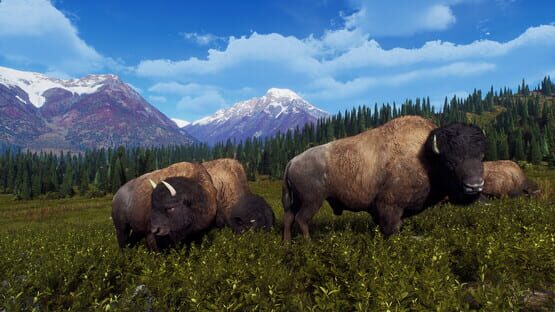 Way of the Hunter: Aurora Shores screenshot 12