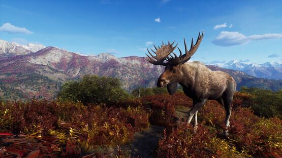 Way of the Hunter: Aurora Shores screenshot 14