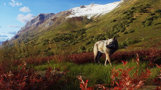 Way of the Hunter: Aurora Shores screenshot 16