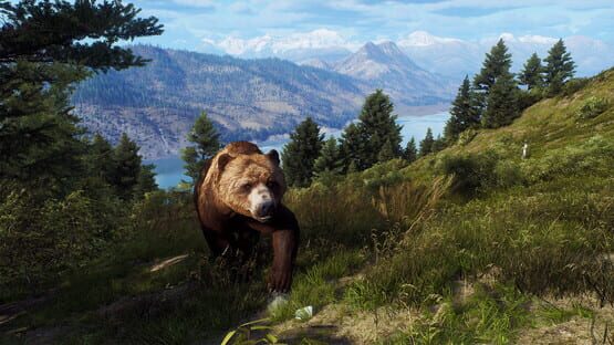 Way of the Hunter: Aurora Shores screenshot 17