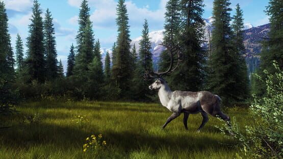 Way of the Hunter: Aurora Shores screenshot 18