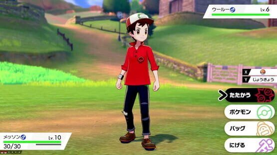 Pokémon Shield + Expansion Pass screenshot 4